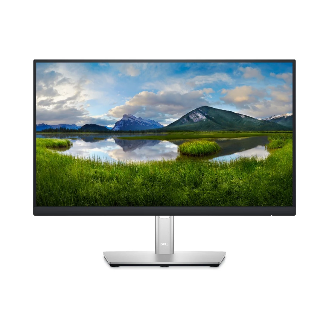 Écran Dell P2222H